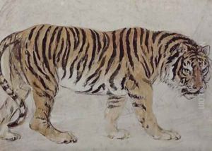Tiger by Sir Edwin Henry Landseer