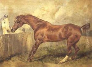 Marianne a favorite hunter