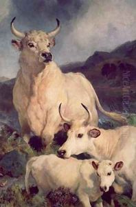 Wild cattle at Chillingham by Sir Edwin Henry Landseer