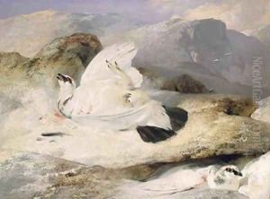 Ptarmigan by Sir Edwin Henry Landseer