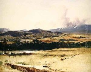 Moorland Landscape