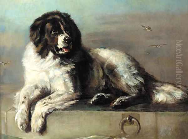 A distinguished member of the Humane Society - view 1