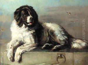 A distinguished member of the Humane Society by Sir Edwin Henry Landseer