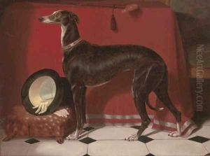 Eos, a favourite greyhound, the property of H.R.H. Prince Albert