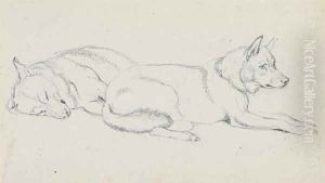Study of huskies