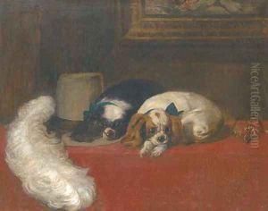 The cavalier's pets 2
