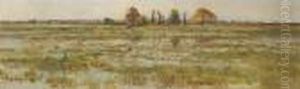 Sumpflandschaft by Pierre-Emmanuel Damoye