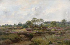 Heather Landscape by Pierre-Emmanuel Damoye