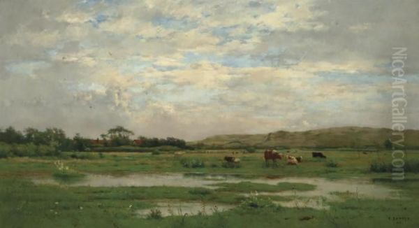 Prairies Inondees, Pas De Calais - view 1