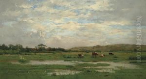 Prairies Inondees, Pas De Calais