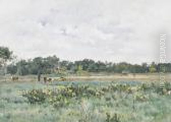 "le Long Du Parc A Moulins De Tonnerrois". - view 1