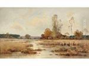 Paysage De Sologne