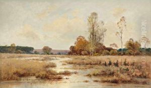 Paysage De Sologne