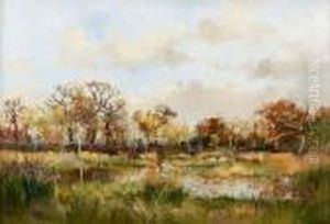 "marais En Sologne".