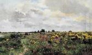 Troupeau Dans La Prairie Pres De Montigny-sur-loing