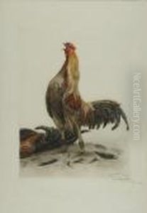 Game Cock