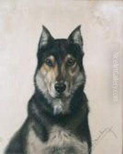 Le Chien Poker