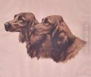 Setters Irlandais Setters Irlandais