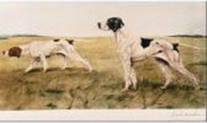 Perros Decaza Perros Decaza