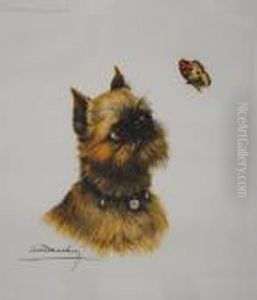 Griffon Bruxellois Et Papillon Griffon Bruxellois Et Papillon