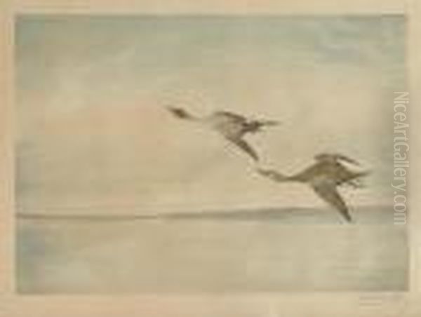 Vol De Canards - view 1