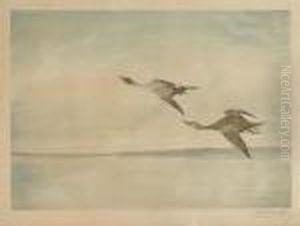 Vol De Canards