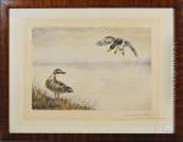 Canards - view 1
