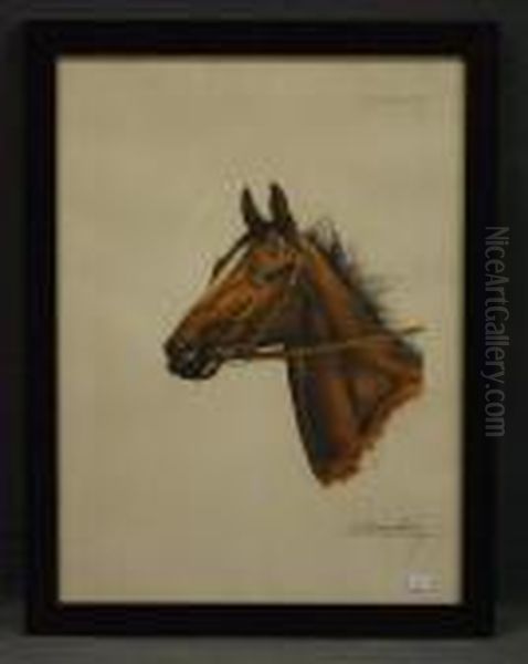 Cheval - view 1