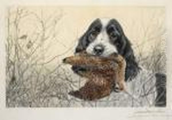 Cocker Et Becasse - view 1