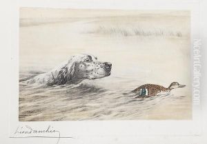 Dog Pursuing A Duck Up A Stream