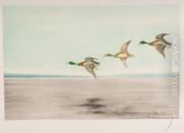 Ducks Landing - view 1