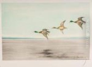 Ducks Landing by Leon Danchin