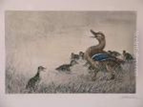 Les Canards - view 1