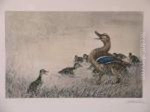 Les Canards