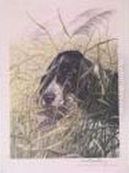 Cocker Et Becasse - view 1