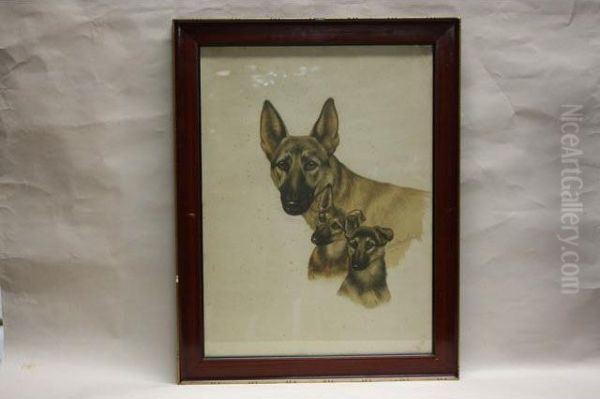 Femelle Et Ses Deux Chiots - view 1