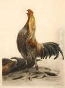 Coq De Combat by Leon Danchin