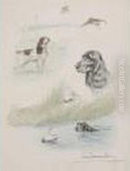 Chiens, Becasse Et Canard - view 1