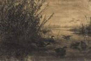 Canars Au Bord De L'etang.