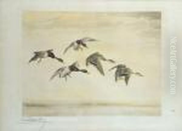 Le Vol De Colverts - view 1