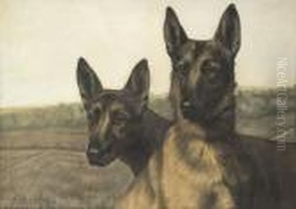 Couple De Bergers Belges - view 1