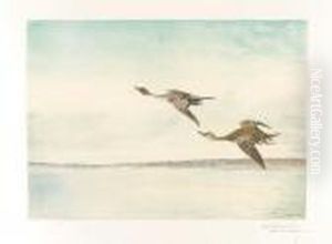 La Pose Des Canards Pilet La Pose Des Canards Pilet