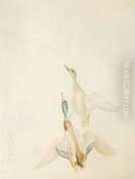 Couple De Colverts - view 1