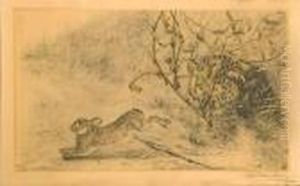 cocker Et Lapin