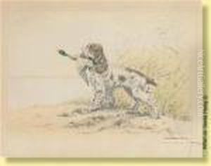 Chien De Chasse Et Colvert