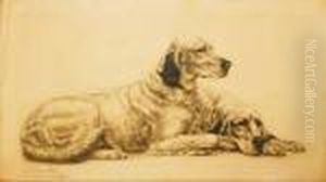 Les Setters Anglais by Leon Danchin