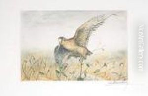 Reproduction En Couleur Encadree. by Leon Danchin
