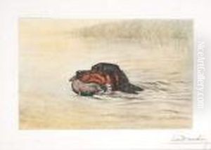 setter Rapportant Un Colvert setter Rapportant Un Colvert