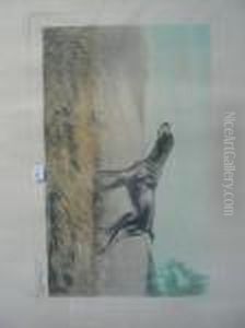 Braque A L'arret Braque A L'arret