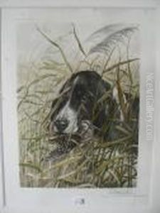 Cocker Springer Et Becassine by Leon Danchin